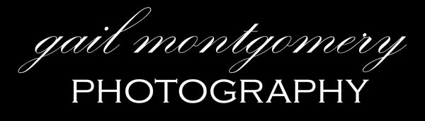 Baltimore Maryland Photographer | Gail Montgomery Photography