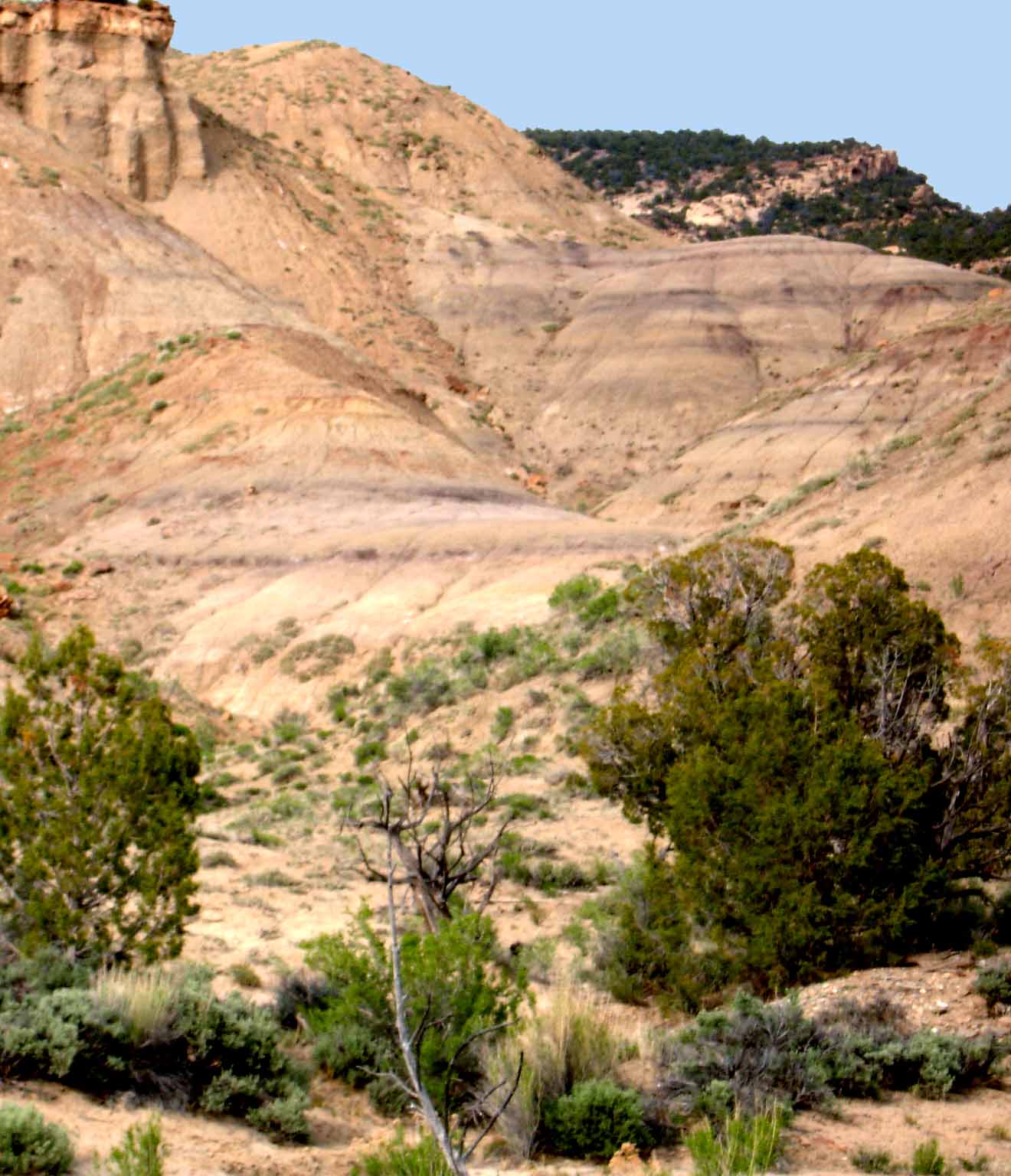 [SW+side+of+Henry+Mtns.jpg]