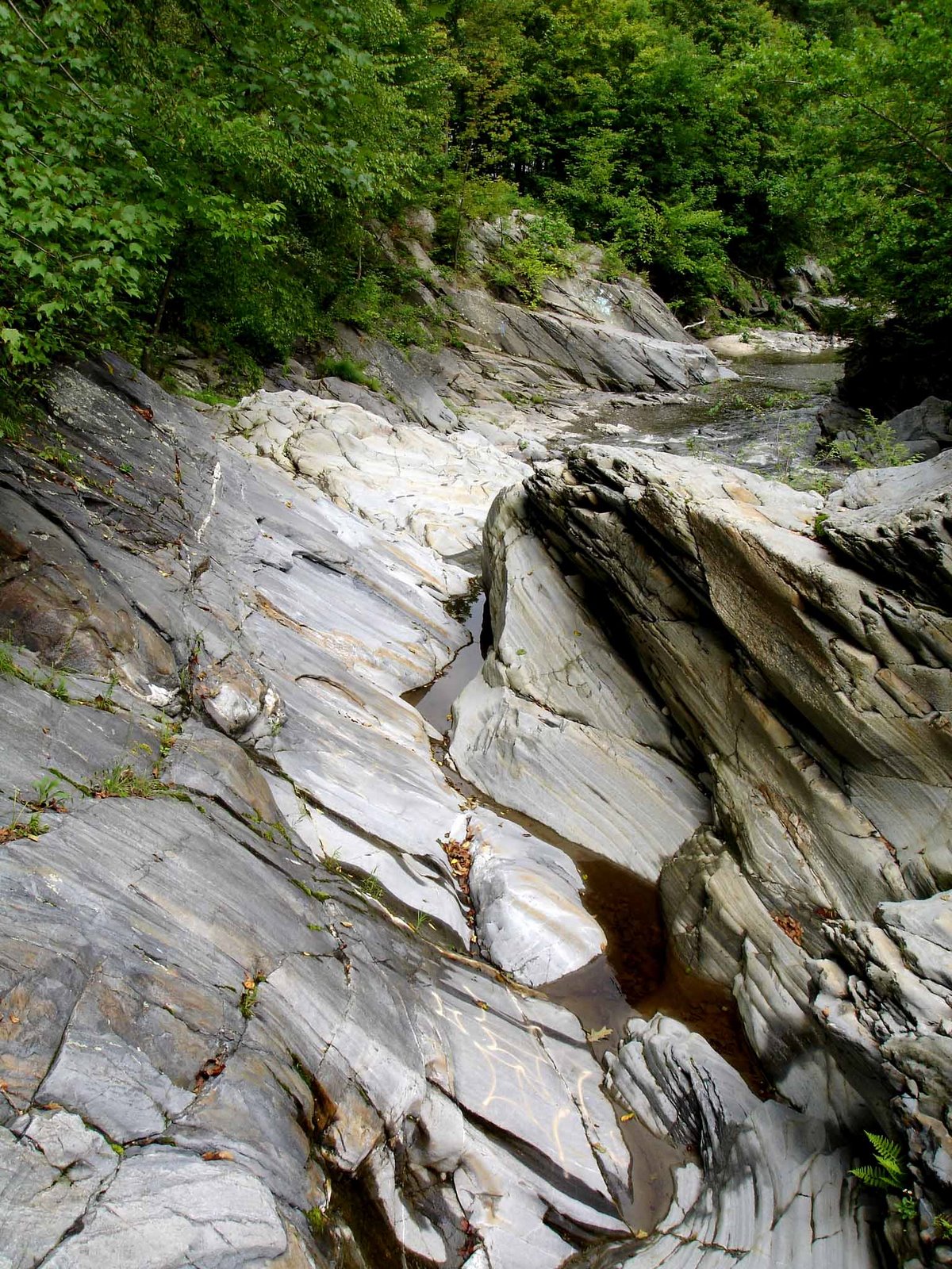 [New+England+Stream+2006.jpg]