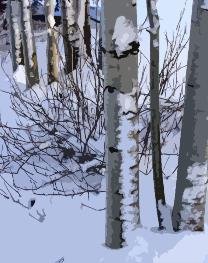 [WinterAspens_Cutout.jpg]