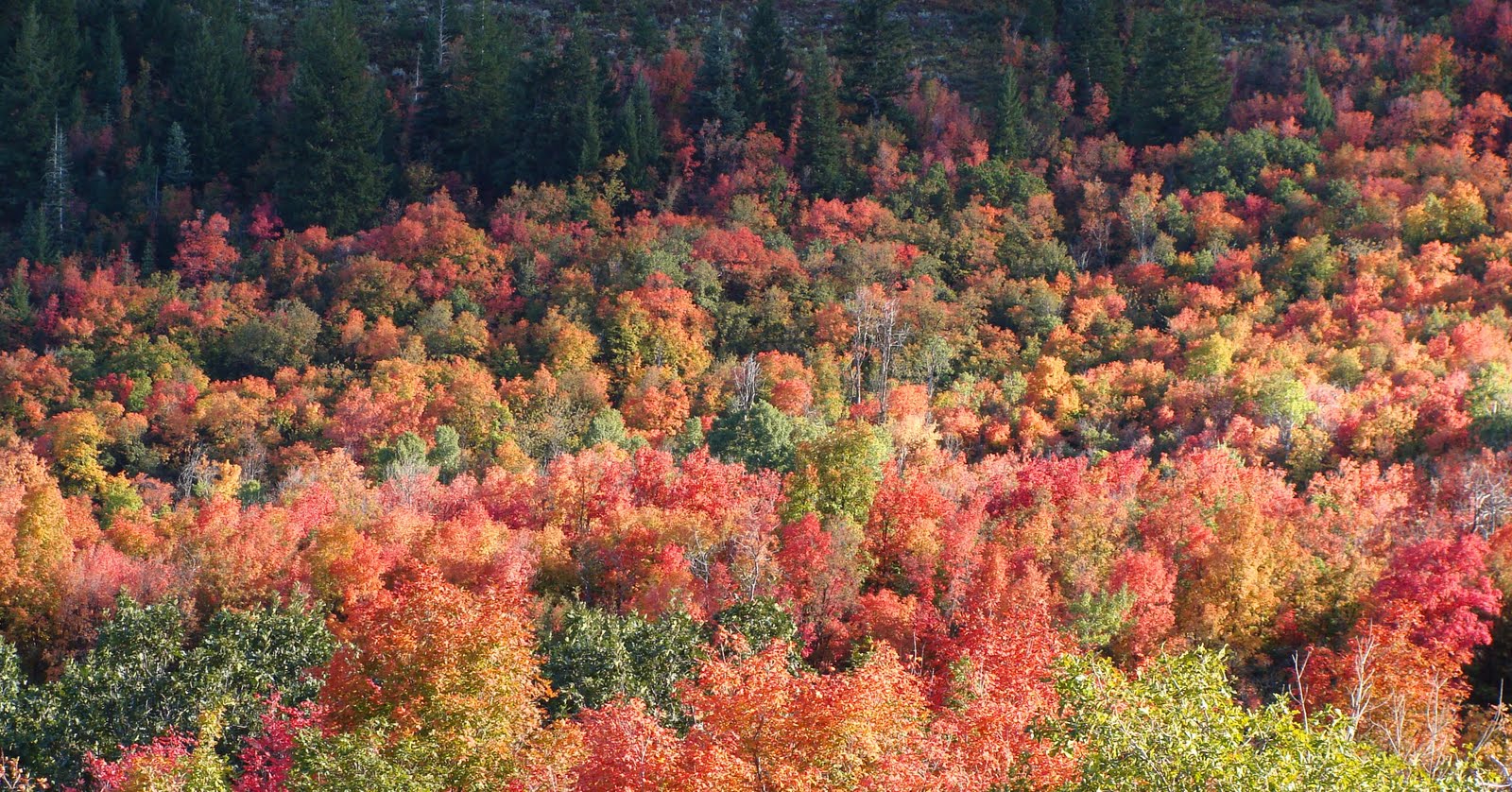 [Utah+Fall5.jpg]
