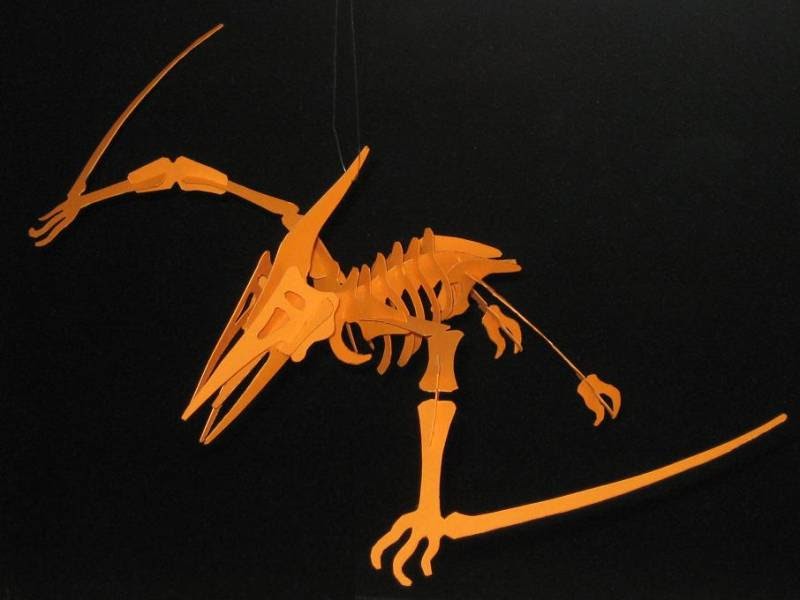 Pterosaur+skeleton+papercraft.jpg