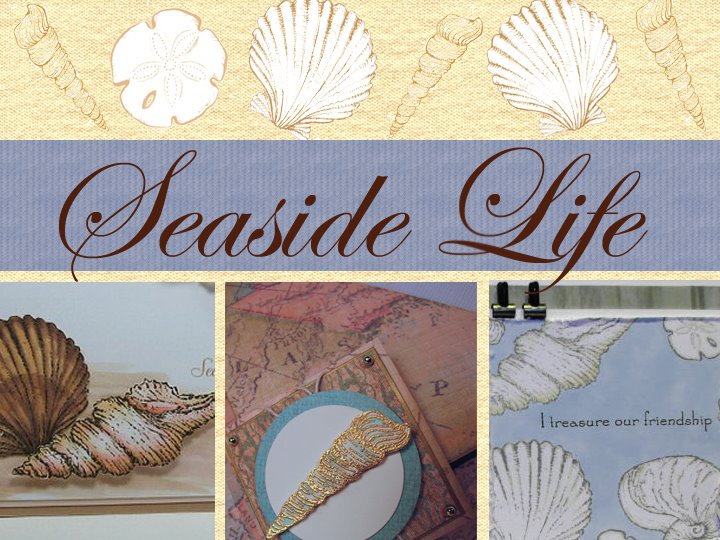 [seaside+life+copy.jpg]