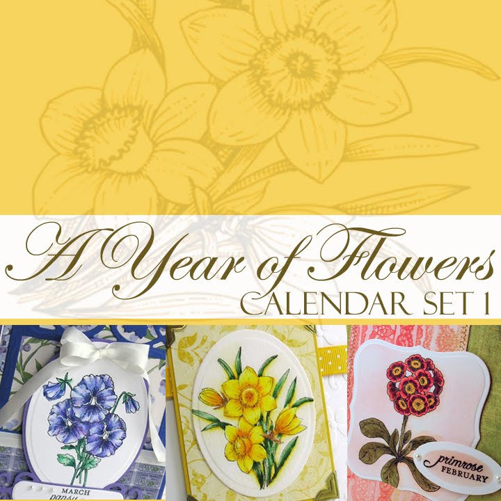 [Year+1+Graphic+copy.jpg]