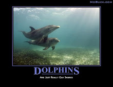 Dolphins