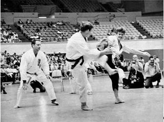 sigte Udvej Stolpe USA karate story : Chuck Norris - Joe Lewis - Bill Wallace: Chuck Norris :  new accurate record
