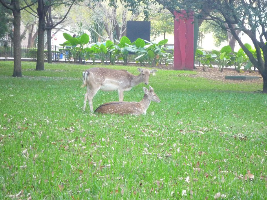[campus_03.jpg]