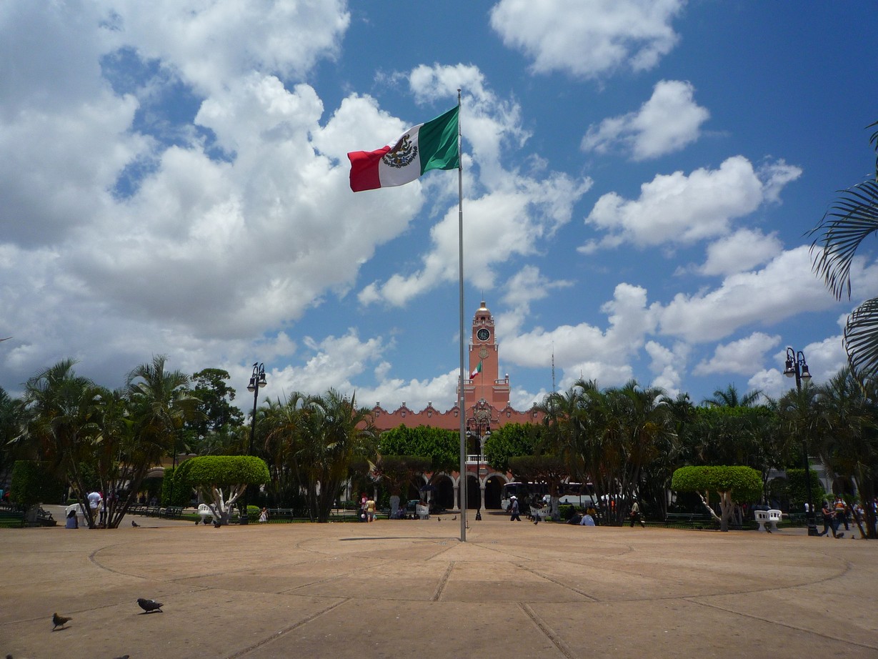 [P1120007.JPG]