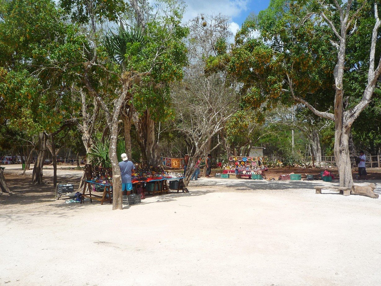 [P1120596.JPG]