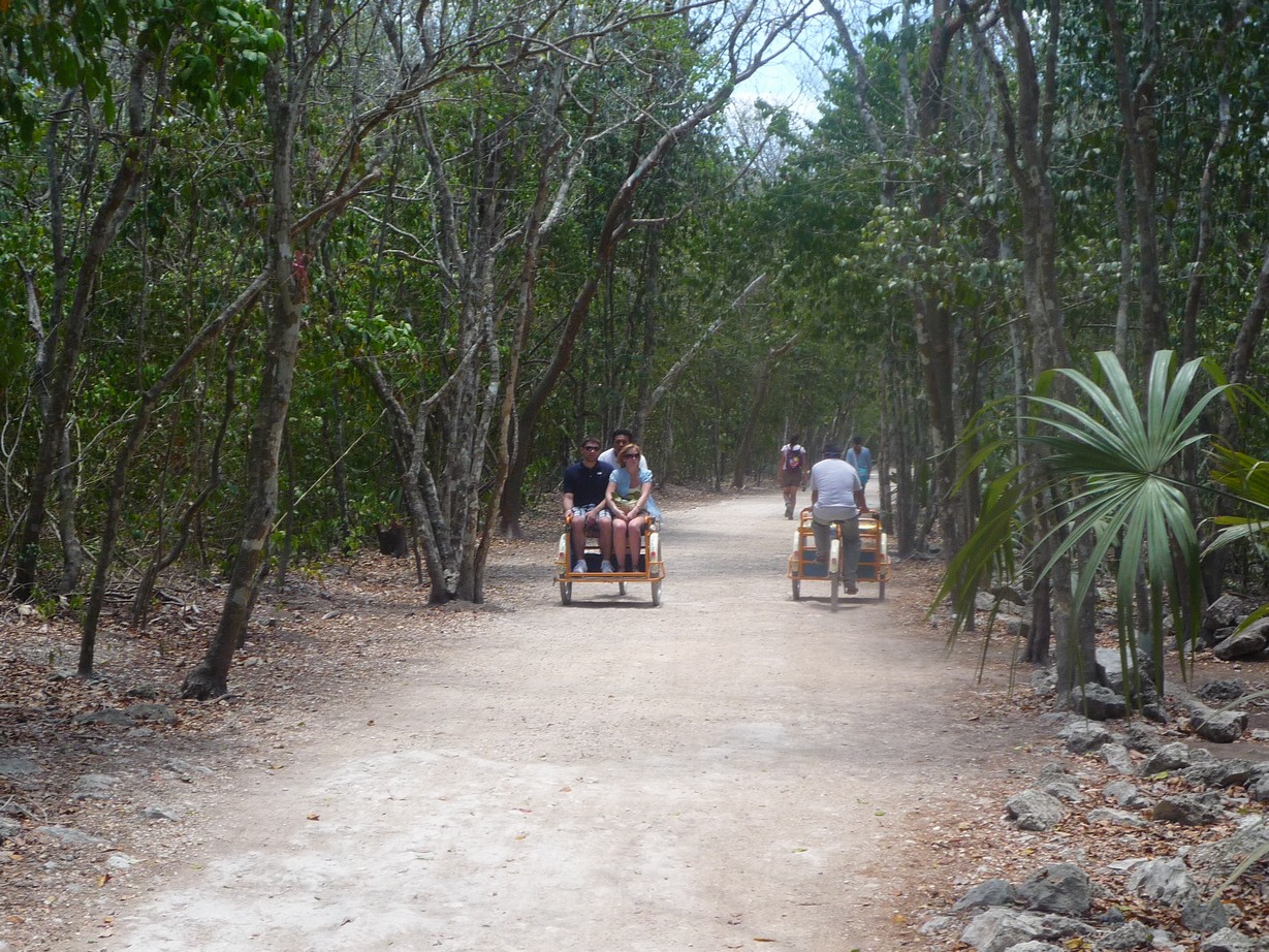 [P1120853.JPG]