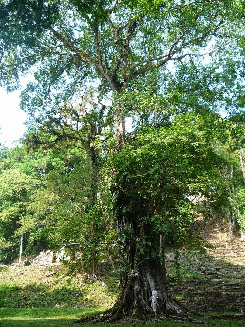 [P1140733.JPG]