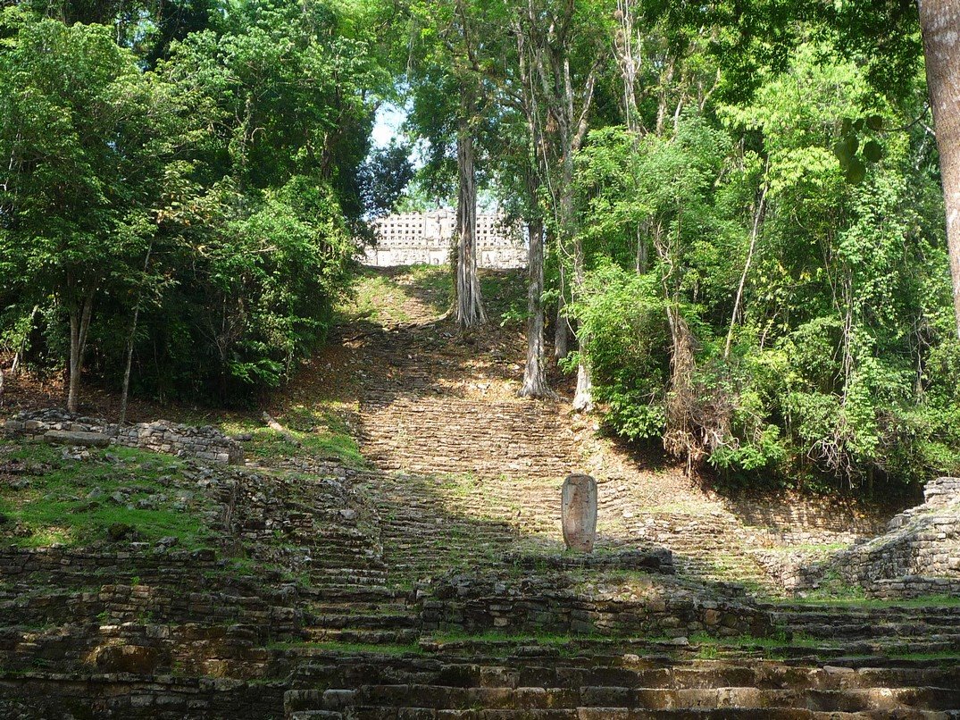 [P1140768.JPG]