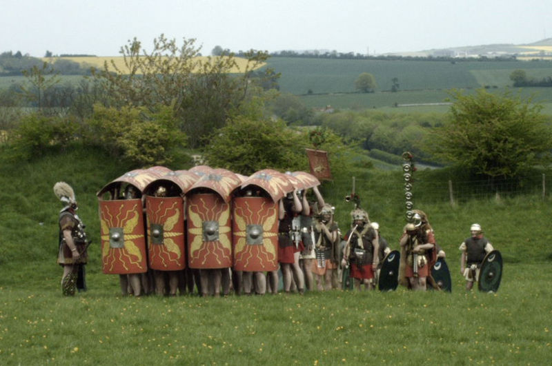 [800px-Testudo_lg.jpg]