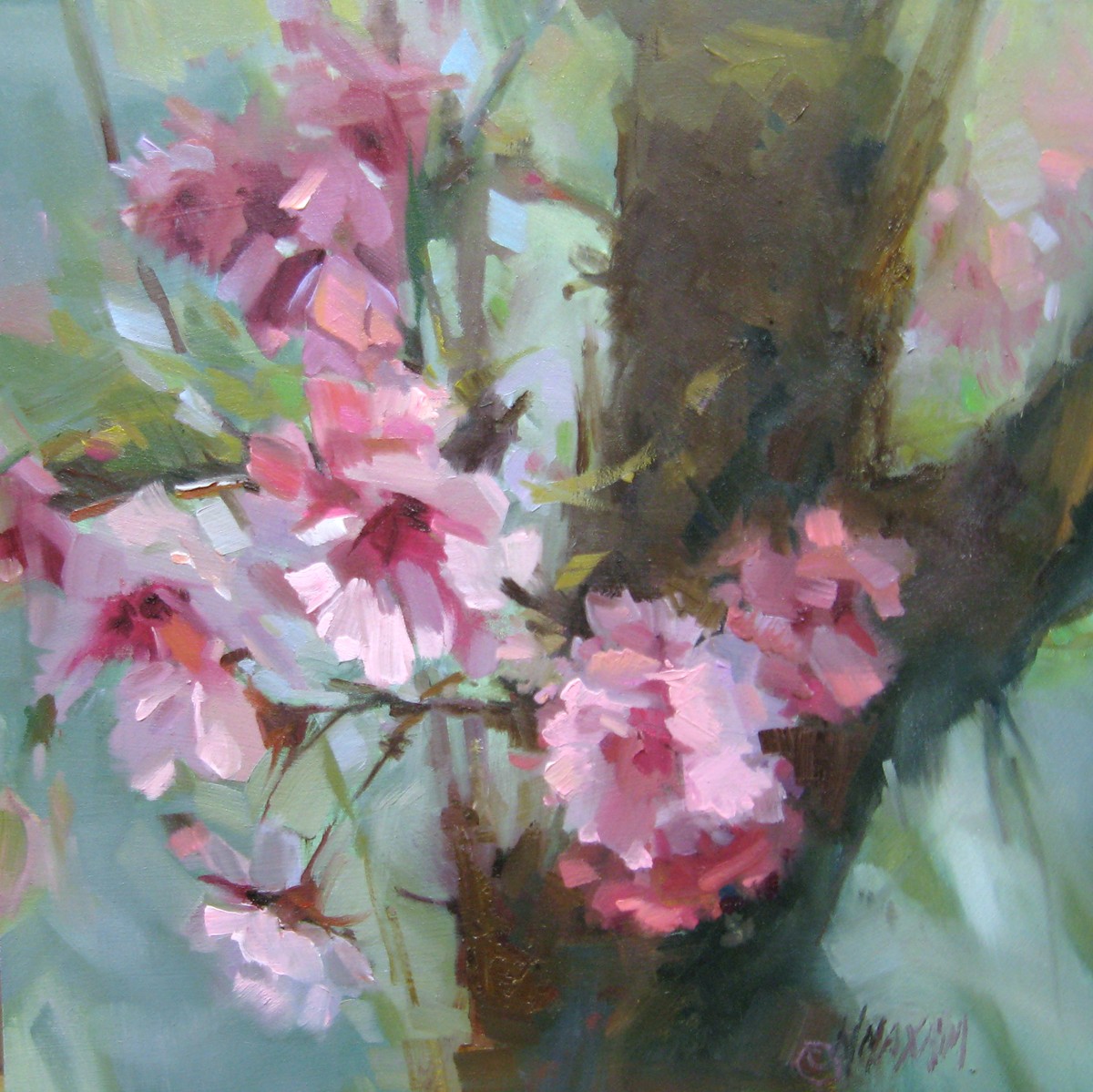 Mary Maxam paintings Cherry Blossoms