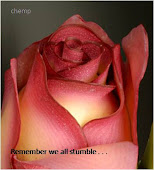 Rose5