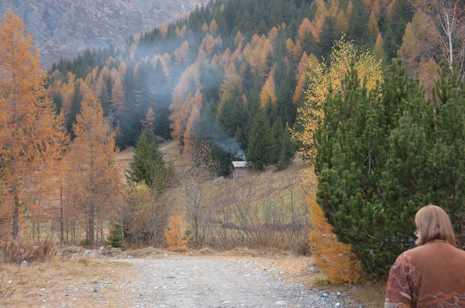 [DSC_0084.JPG]
