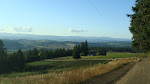 Oregon wine country