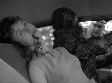 Afficher l'image d'origine