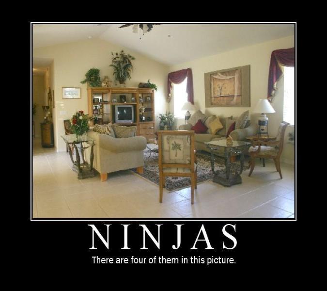 [Ninjas.ashx.jpg]