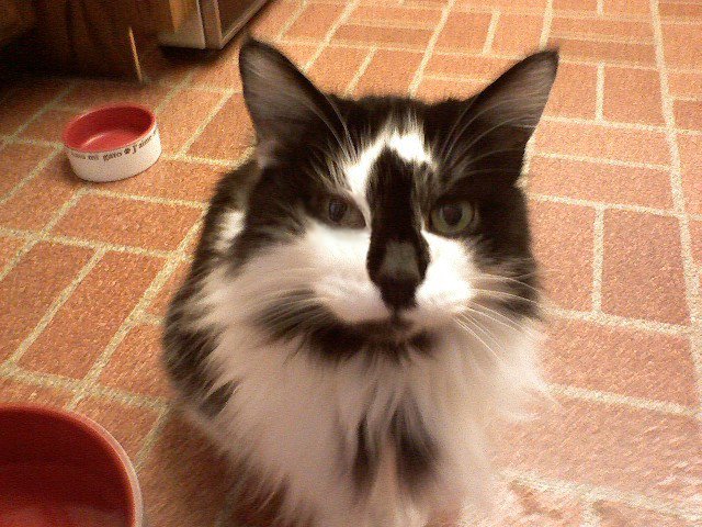 [0516081034edit.jpg]