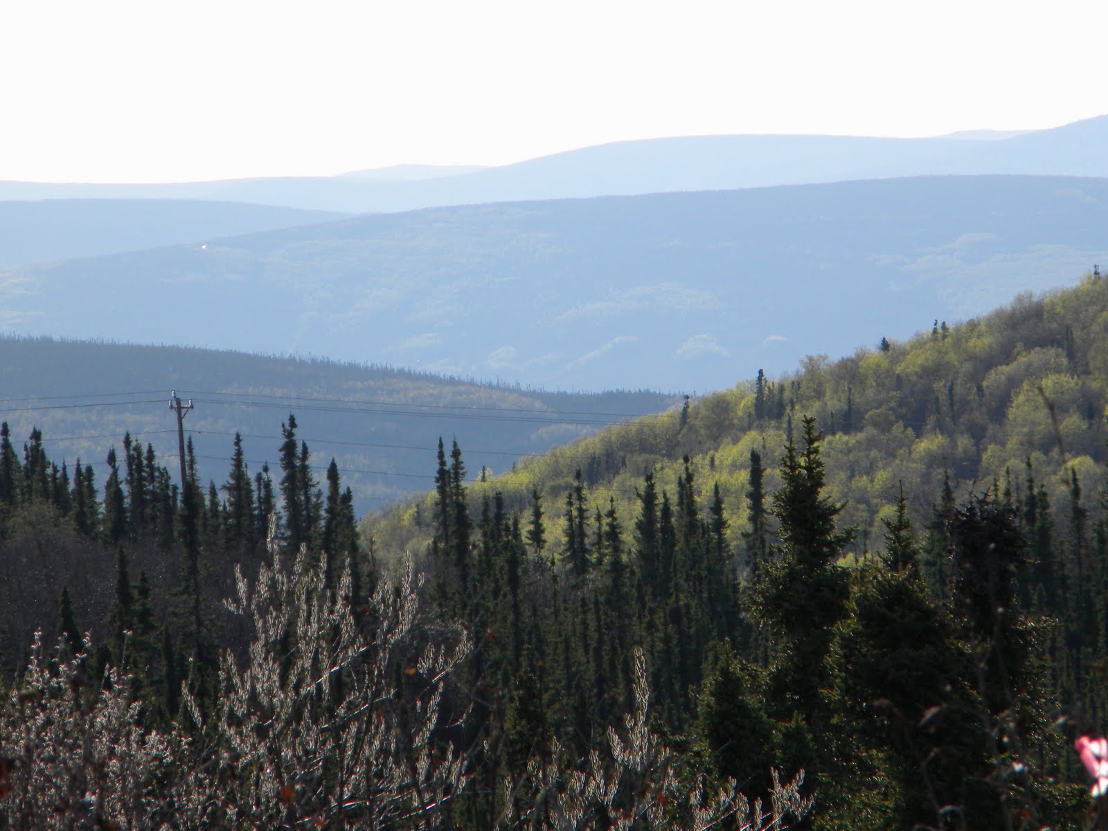 Traveling Through To Chatanika, Alaska and beyond...