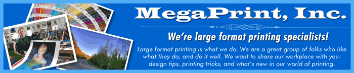 MegaPrint, Inc.