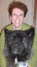 Offering private in home training and behavior consultations in Mid-Coast Maine