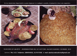 NUESTROS PRODUCTOS EN SALENTO