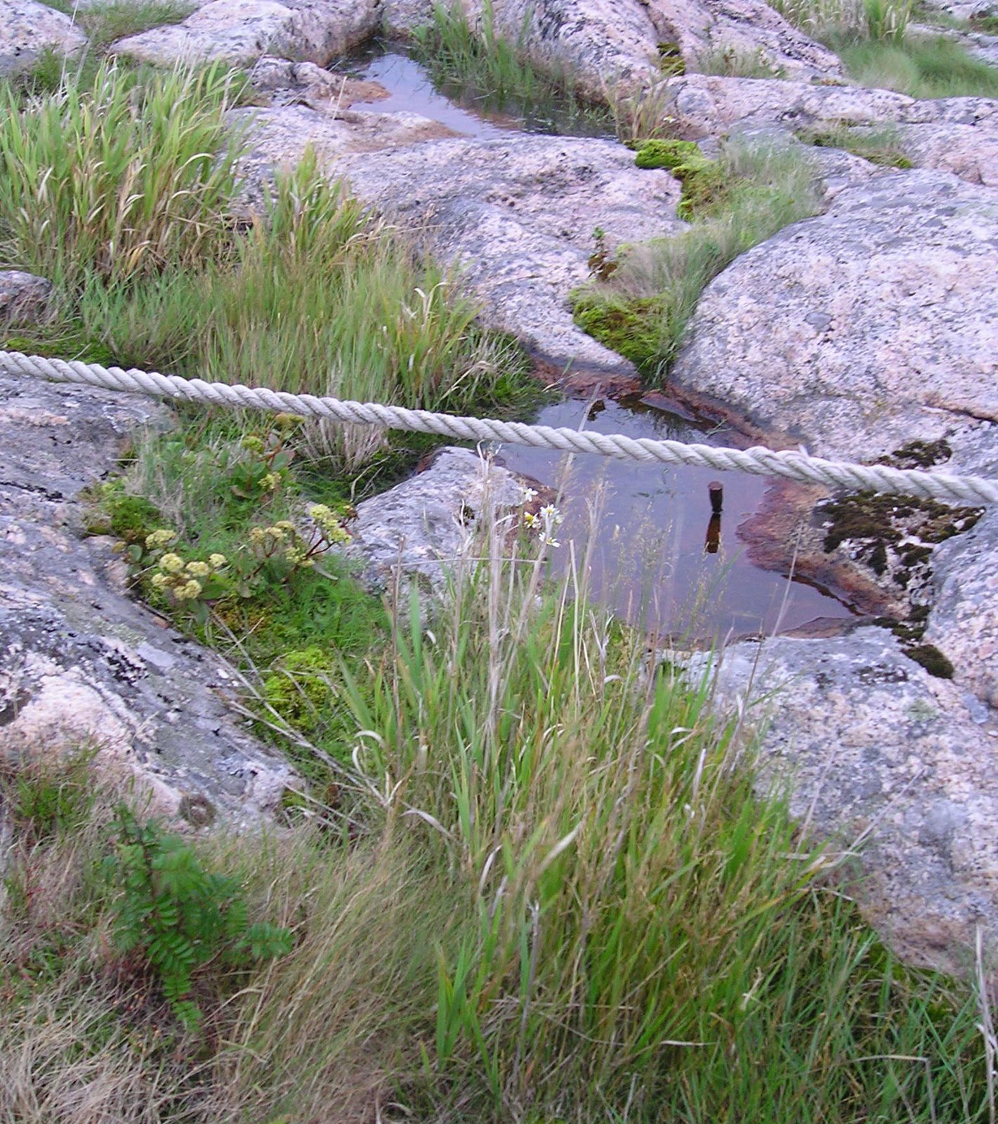 [rocks+island+rope.jpg]