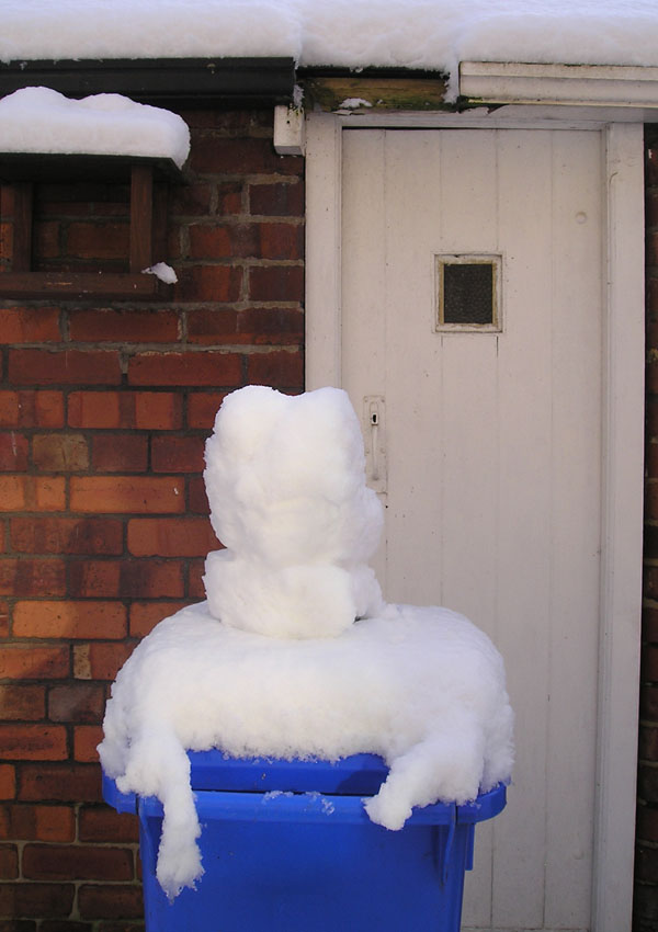 [snow+head+on+blue+bin.jpg]