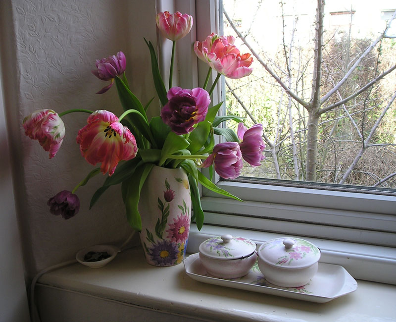 [tulips+radford.jpg]