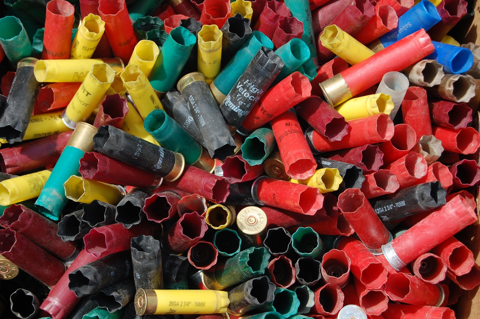 Hunters & Gatherers at Home Inspired Design