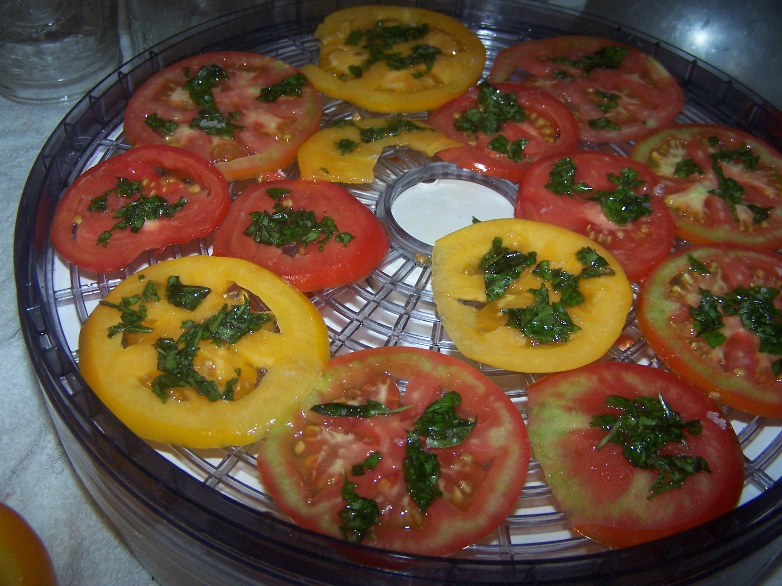 The Prepared Household Solar Dehydrating Fruits and Vegetables