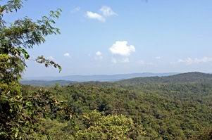 Bhimashankar Wildlife Sanctuary Maharashtra