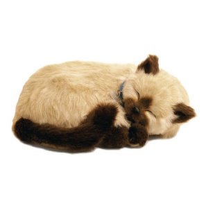 PETS ON DEMAND: Perfect Petzzz Huggable Breathing Kitty Cat Pet Tan Siamese