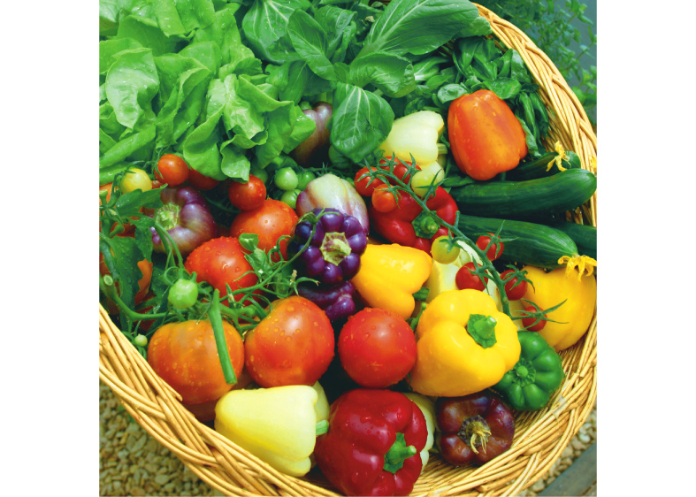 A Hydroponics Garden