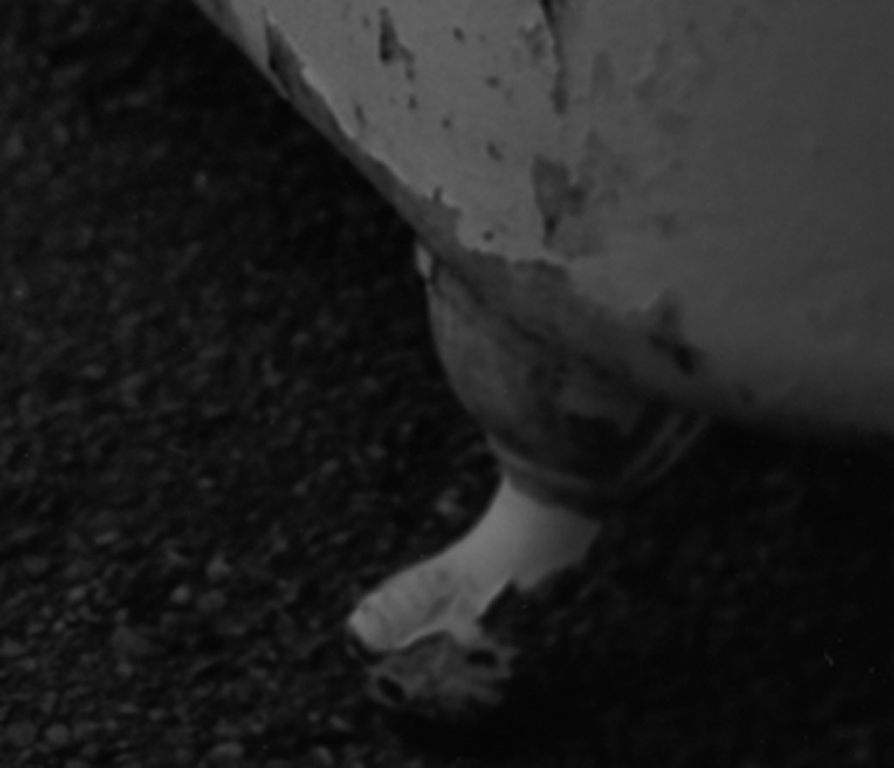 PhotoArts I Chad Patterson