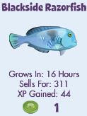 New Fishes (My FishVille)