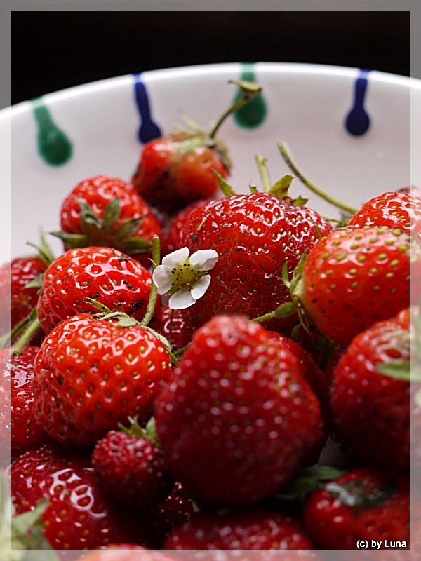 ღ LUNAS BUNTE VIELFALT ღ Süße Früchtchen.....