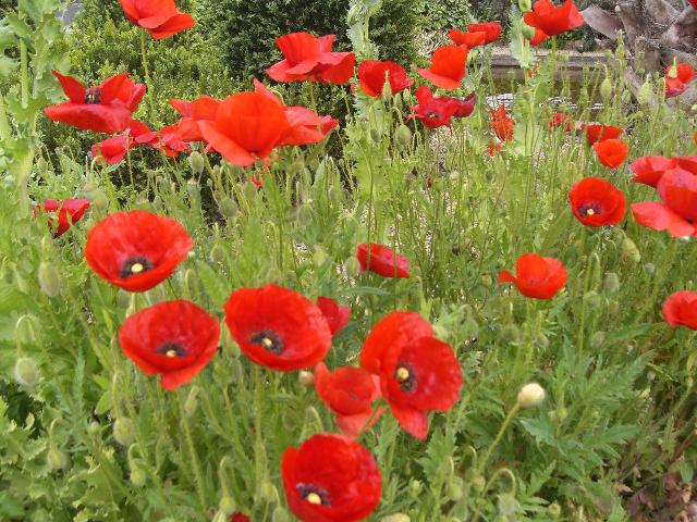 [CIMG3963+menor.jpg]