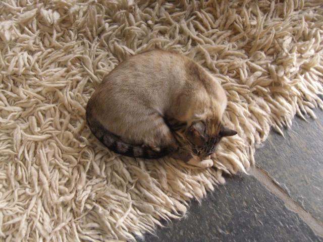 [CIMG3971+menor.jpg]