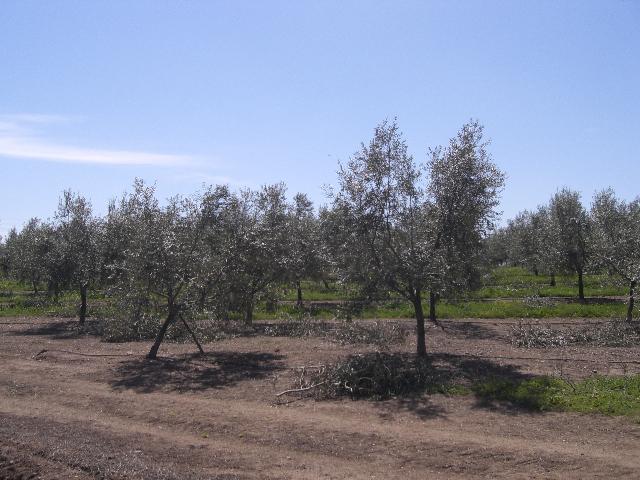 [CIMG3872+menor.jpg]