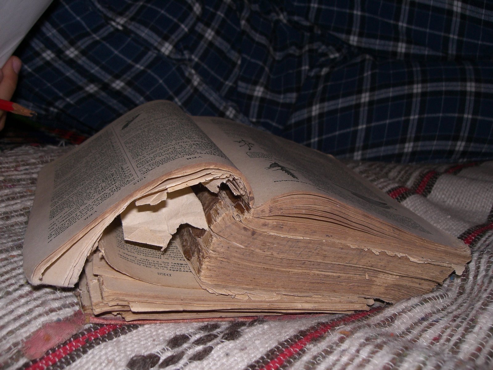 [Julho+2007+030.jpg]