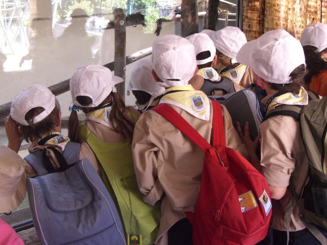 [CIMG4326+menor.jpg]