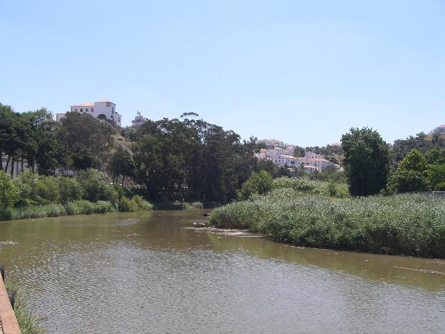 [CIMG4768+menor.jpg]