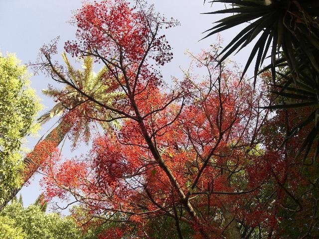 [CIMG4784+MENOR.jpg]