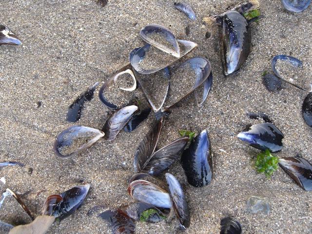 [27+Janeiro+2008+069+menor.jpg]