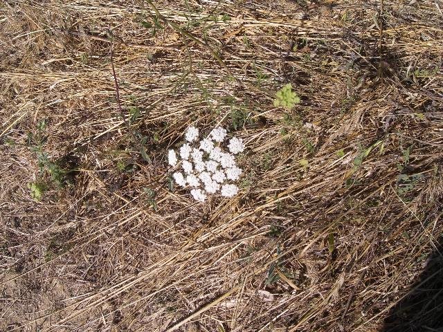 [CIMG4814+menor.jpg]