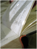 [libro_ilustres2007.gif]