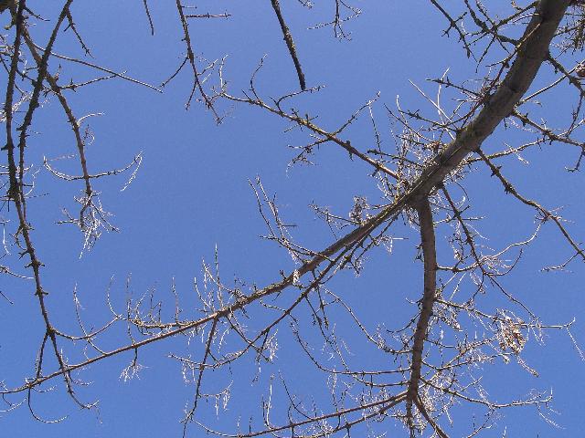 [CIMG5613+menor.jpg]